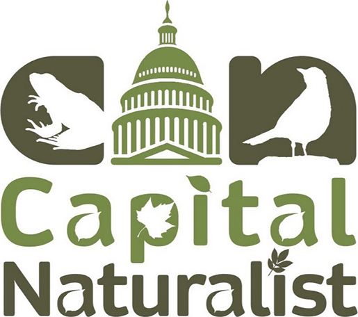 The Capital Naturalist