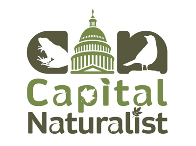Capital Naturalist