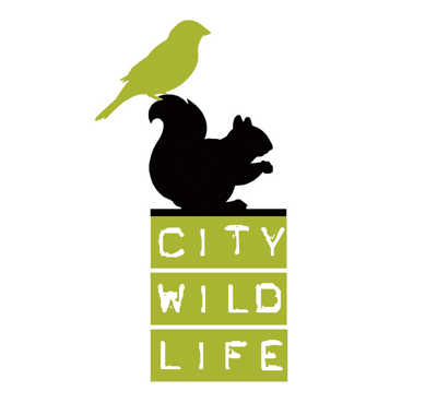 City Wildlife