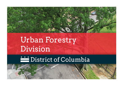 DC DDOT Urban Forestry Division