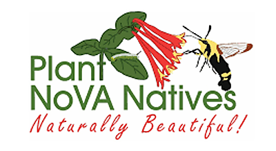Plant NOVA Natives